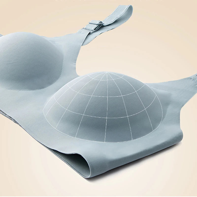 Amanda Collins Seamless Comfort Bra