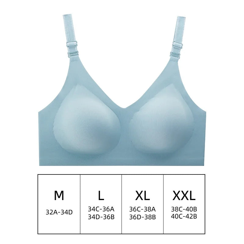 Amanda Collins Seamless Comfort Bra